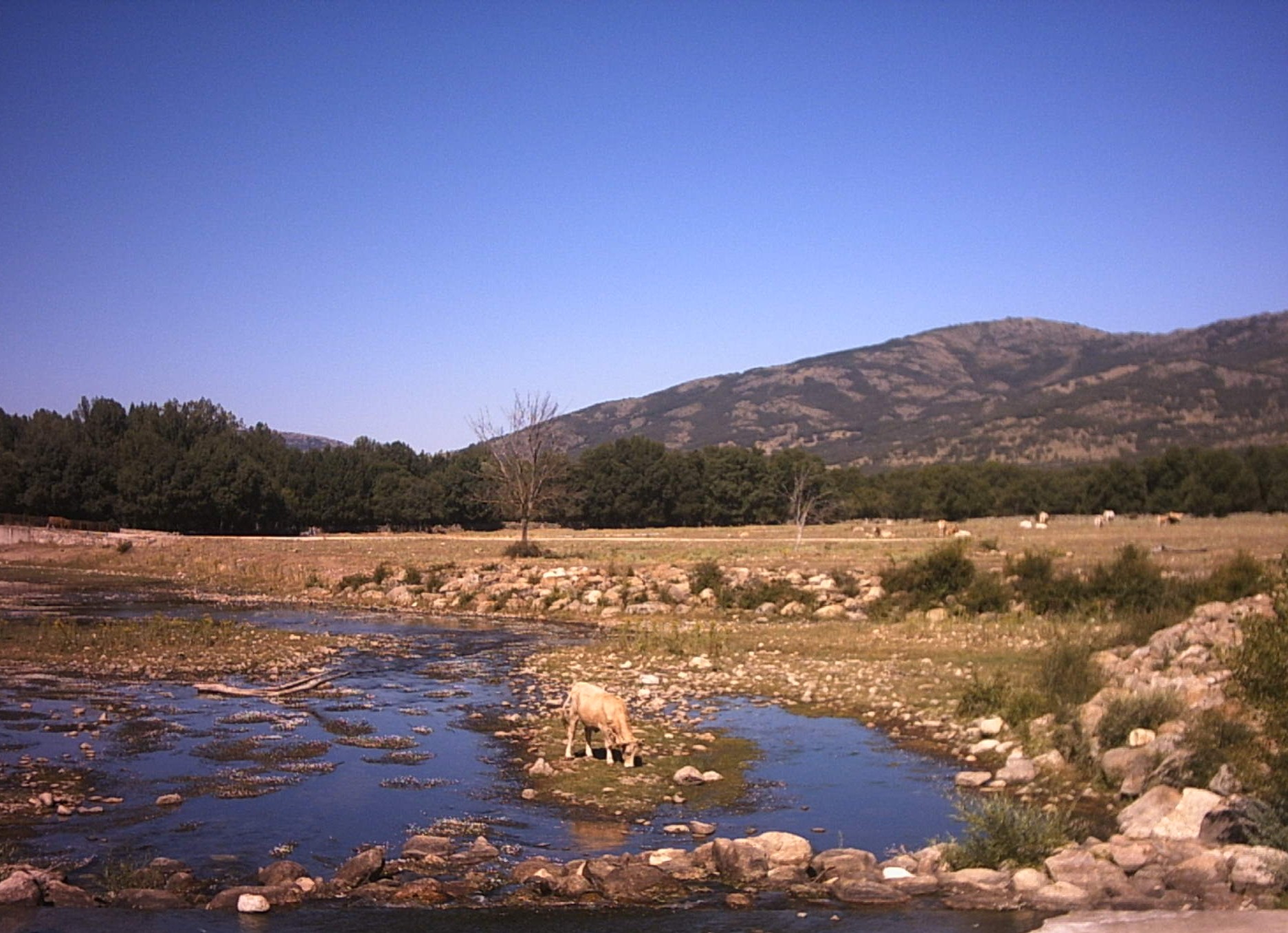 alameda 019.jpg